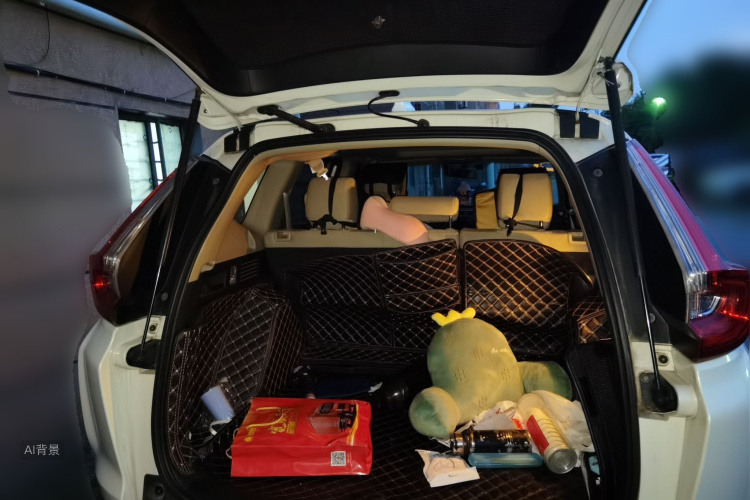 Honda CR-V 2019 car image #21