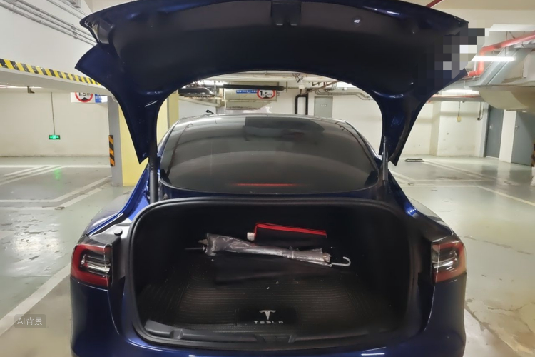 Tesla Model 3 2021 #21 Tesla Model 3 2021 car image #21