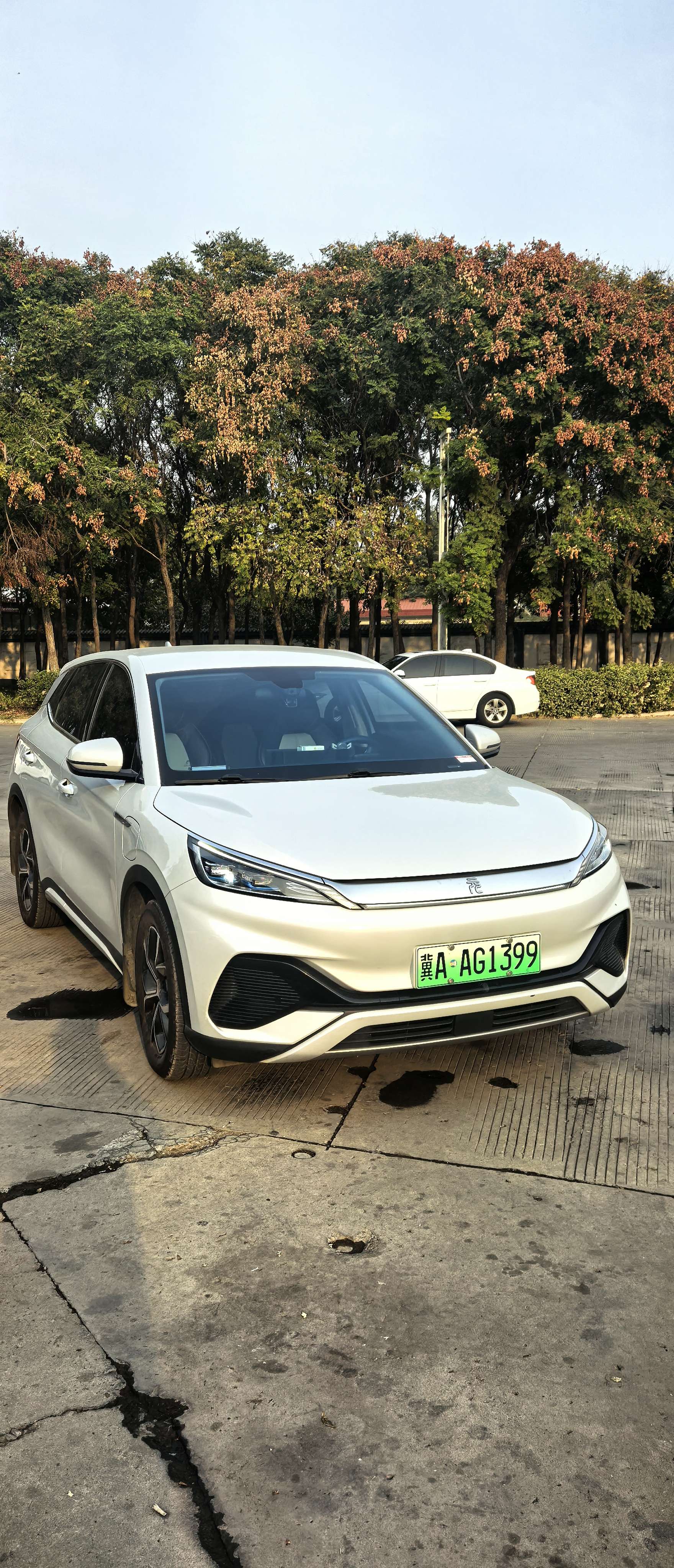 BYD Yuan Plus 2023 #3 BYD Yuan Plus 2023 immagine di auto #3