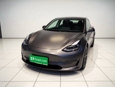Tesla Model 3 2021 Tesla Model 3 2021 car image