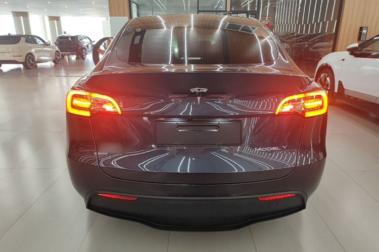 Tesla Model Y 2024 #6 Tesla Model Y 2024 car image #6