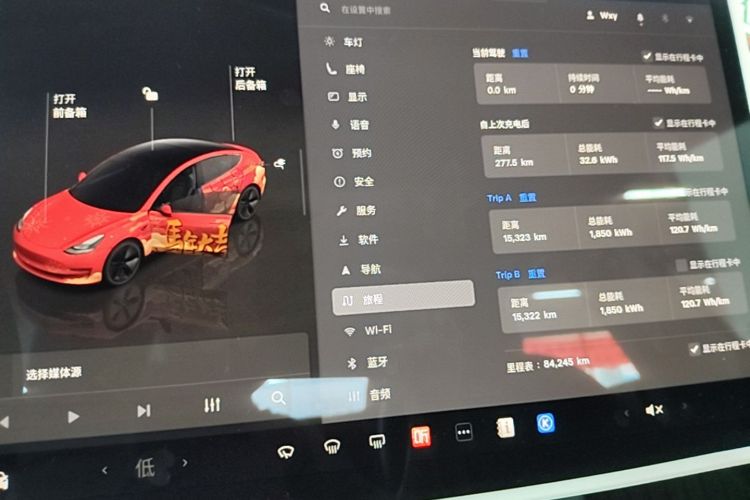Tesla Model 3 2023 car image #12