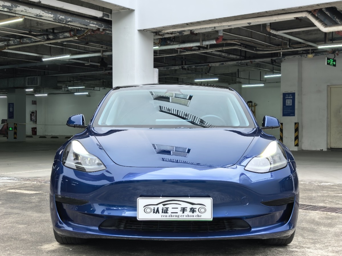 Tesla Model 3 2021 car image #2