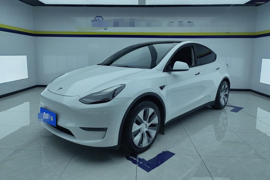 Tesla Model Y 2022 car image 