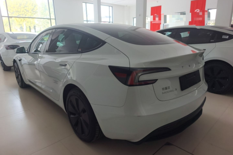 Tesla Model 3 2025 immagine di auto #5