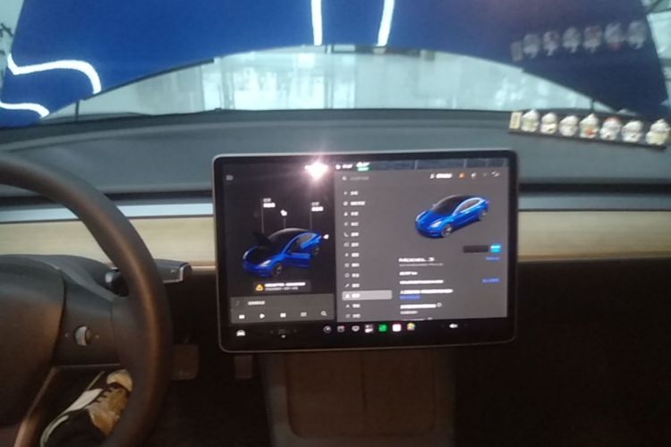 Tesla Model 3 2021 #13 Tesla Model 3 2021 immagine di auto #13