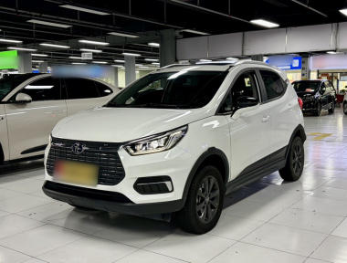 BYD Yuan New Energy 2020 car image 