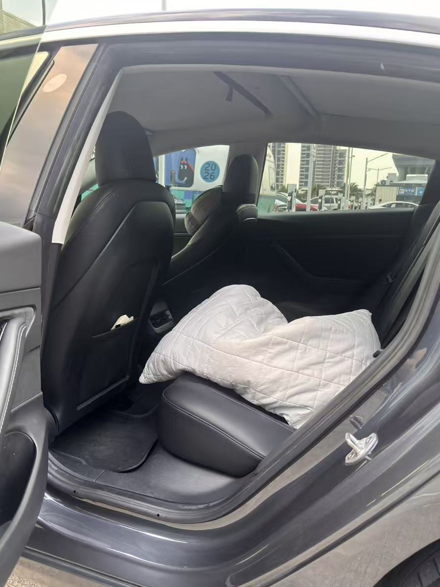 Tesla Model 3 2020 car image #3