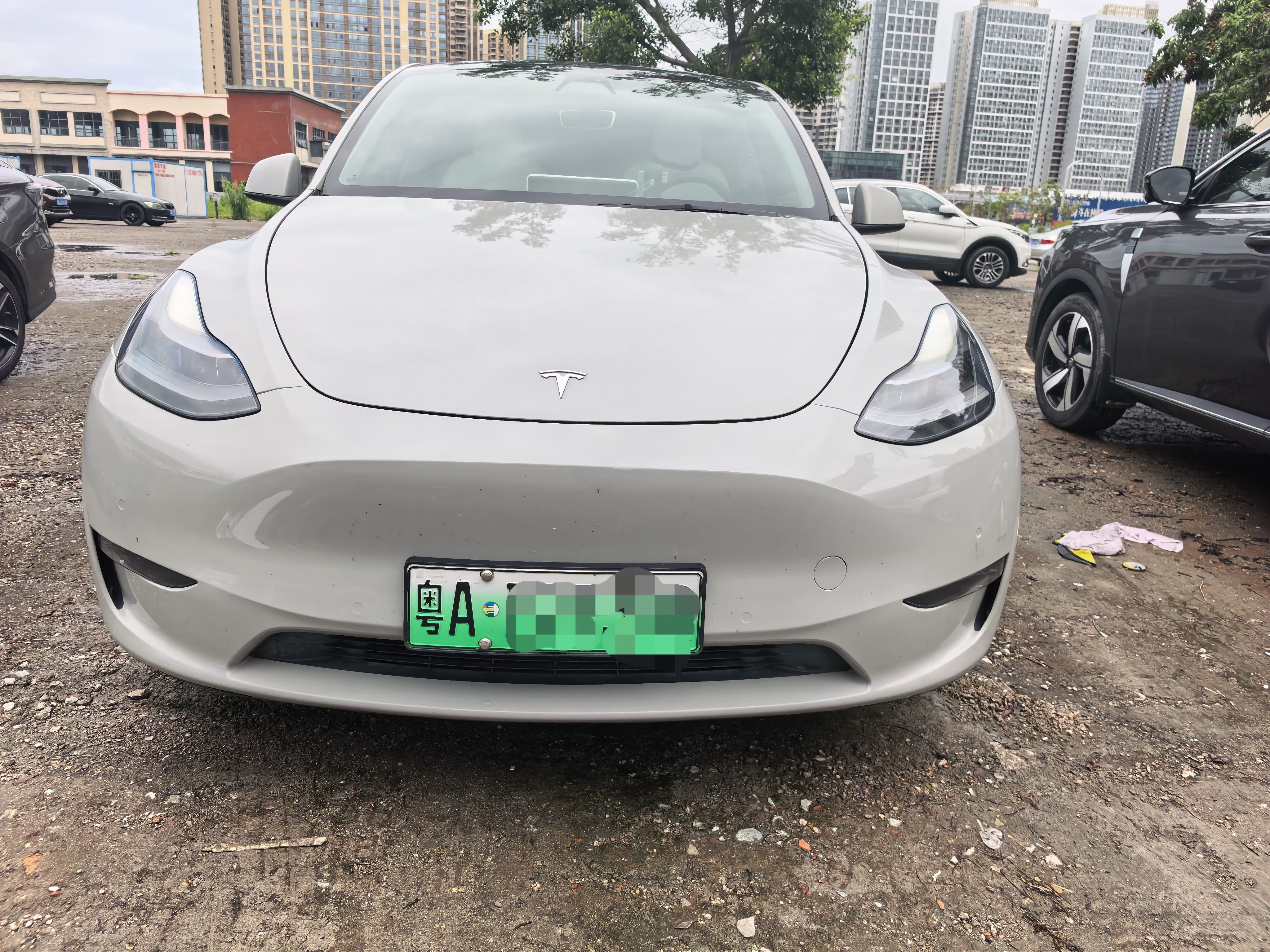 Tesla Model Y 2021 car image #2