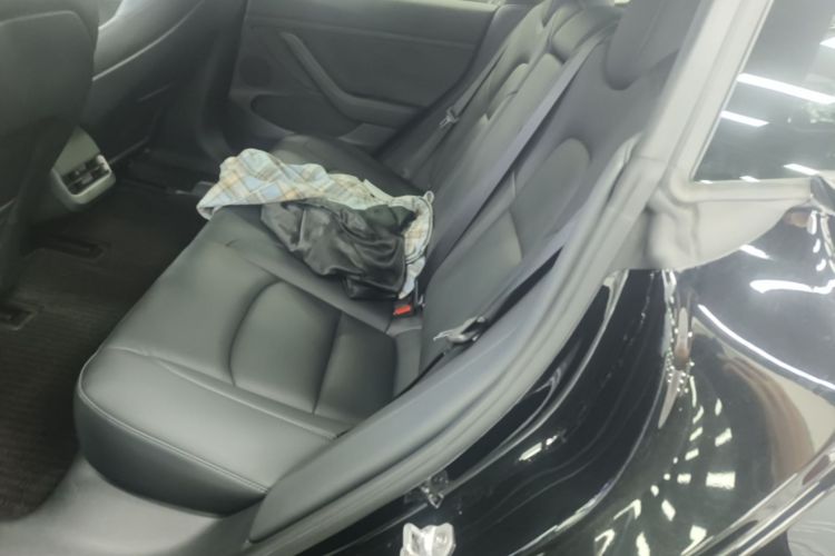 Tesla Model 3 2021 #13 Tesla Model 3 2021 car image #13