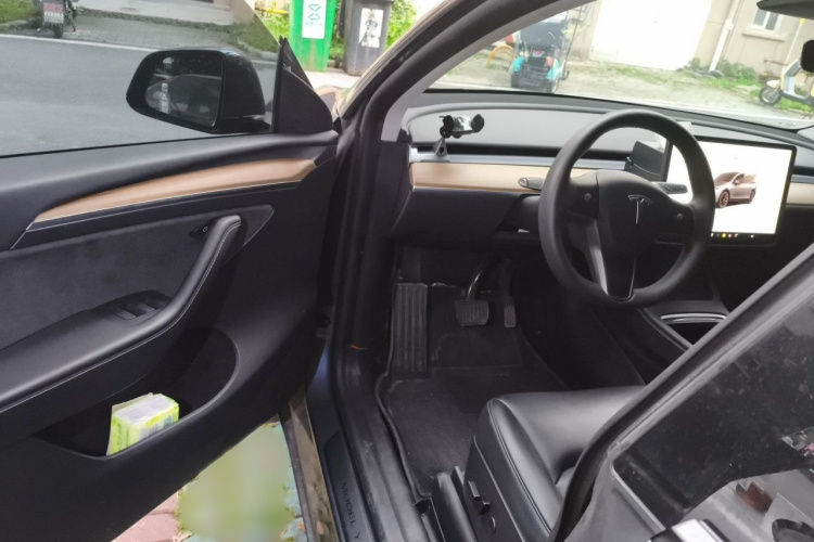 Tesla Model Y 2022 car image #13