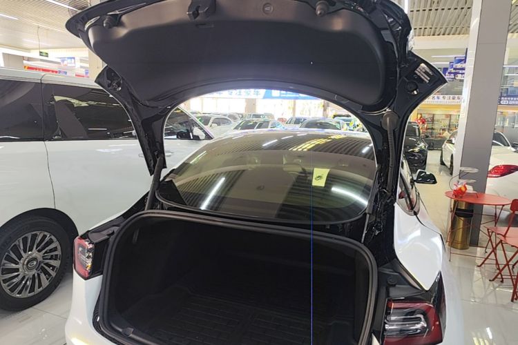 Tesla Model 3 2021 #19 Tesla Model 3 2021 car image #19