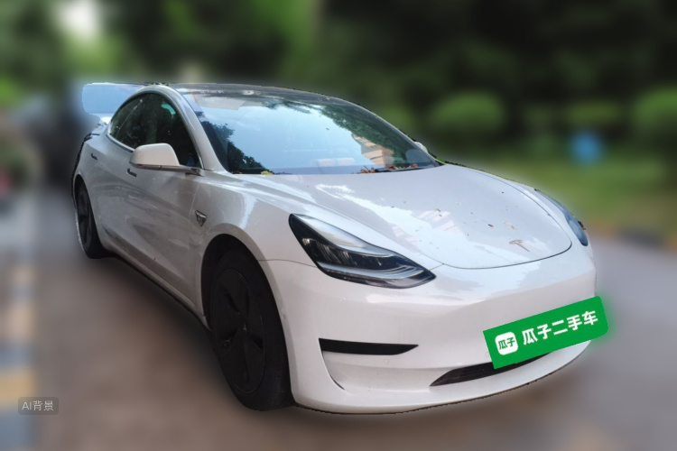 Tesla Model 3 2020 car image #4