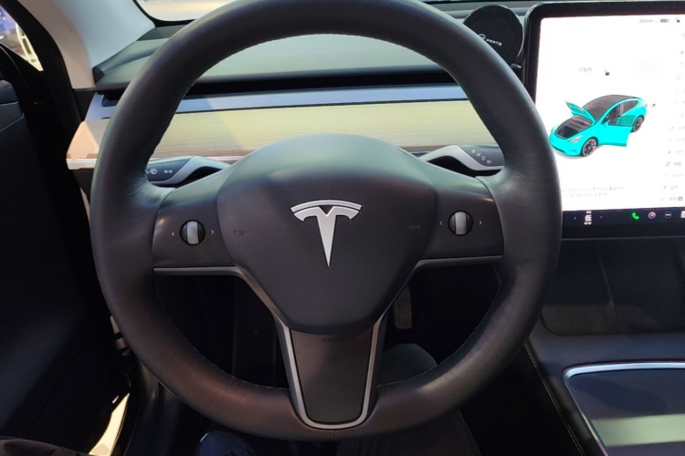 Tesla Model Y 2021 car image #11