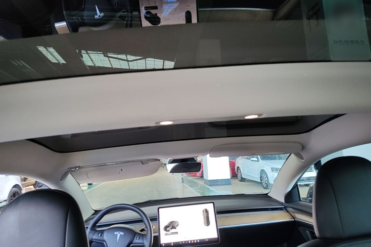 Tesla Model 3 2021 car image #18