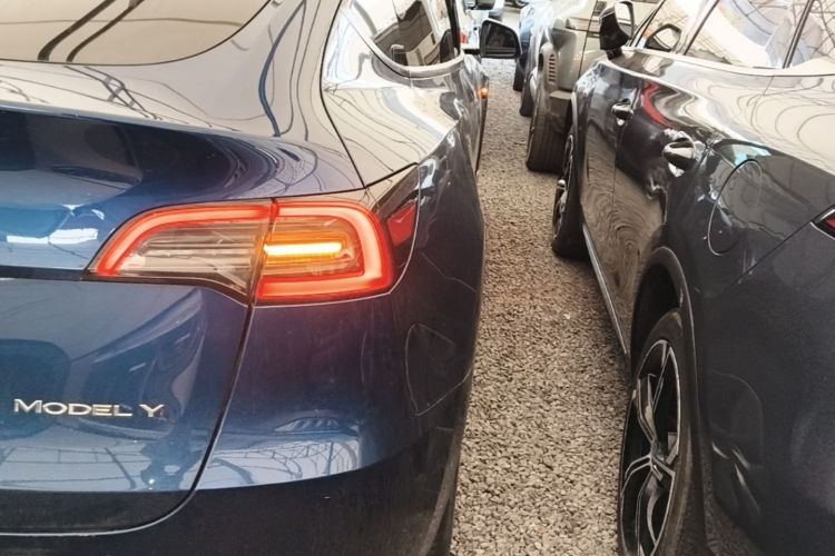 Tesla Model Y 2023 #8 Tesla Model Y 2023 car image #8