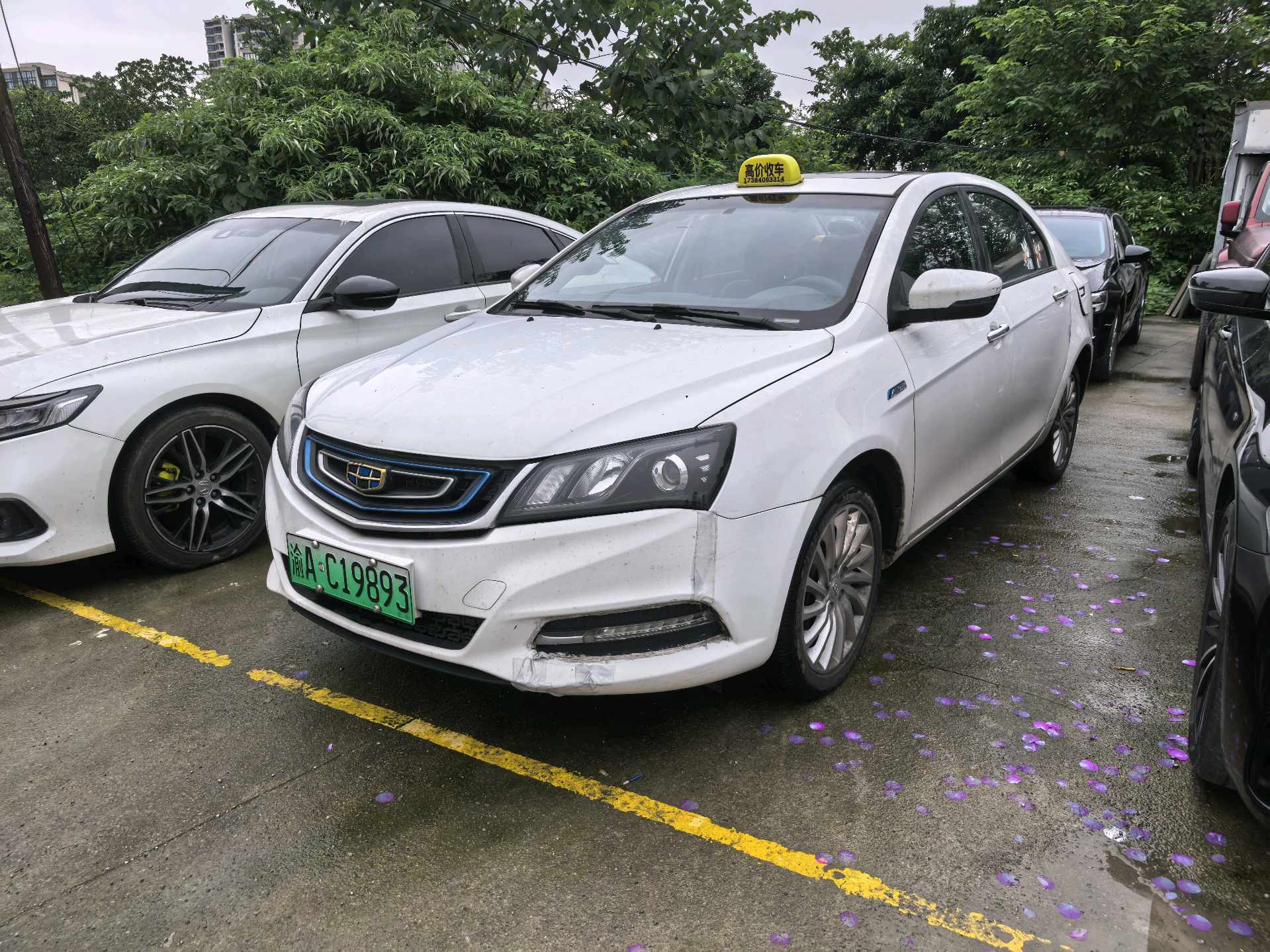 GEELY Emgrand New Energy 2017 car image 