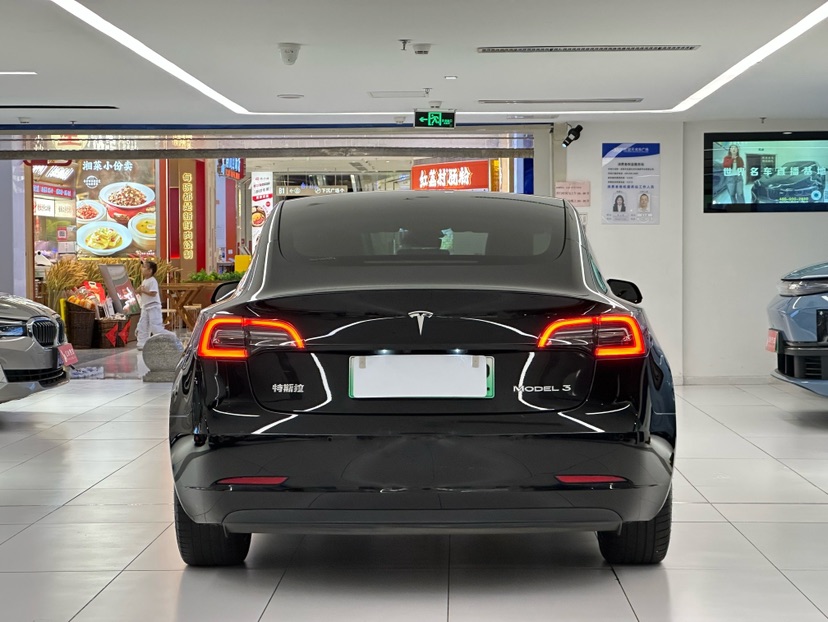 Tesla Model 3 2021 car image #9