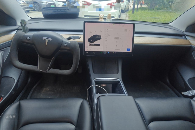 Tesla Model 3 2021 immagine di auto #11