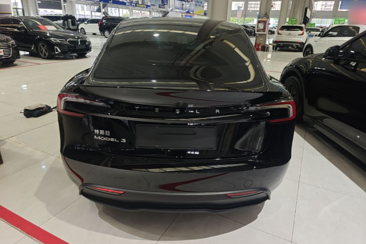 Tesla Model 3 2023 #6 Tesla Model 3 2023 car image #6