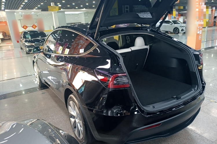 Tesla Model Y 2022 immagine di auto #7