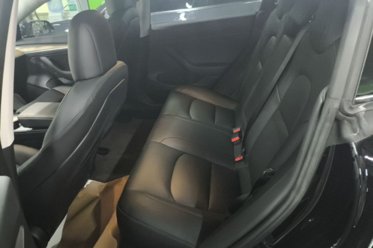 Tesla Model 3 2021 #17 Tesla Model 3 2021 immagine di auto #17