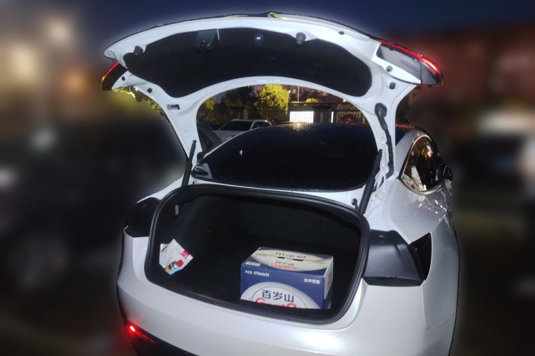 Tesla Model 3 2025 car image #21