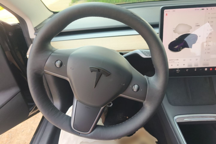 Tesla Model 3 2021 car image #11