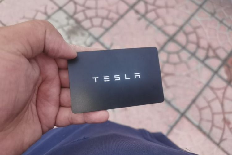 Tesla Model Y 2021 car image #9