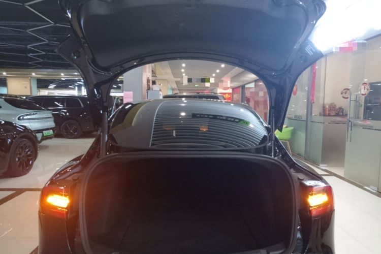 Tesla Model 3 2021 car image #19