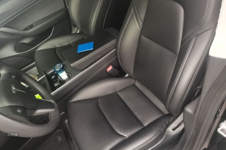 Tesla Model 3 2020 car image #17