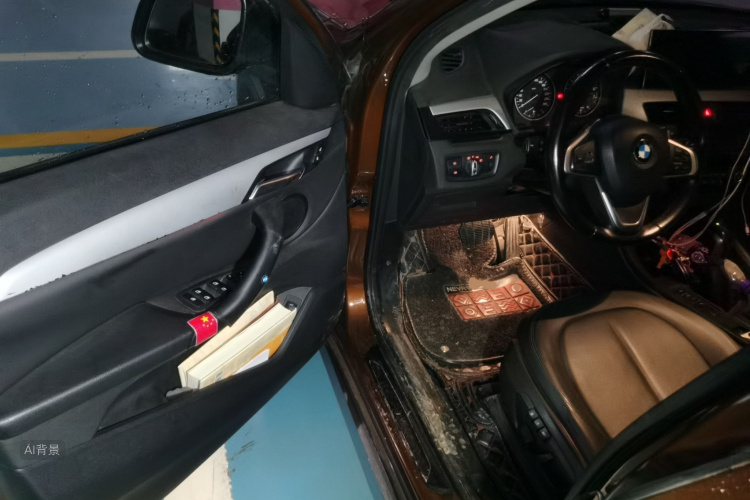 BMW X1 2017 car image #18
