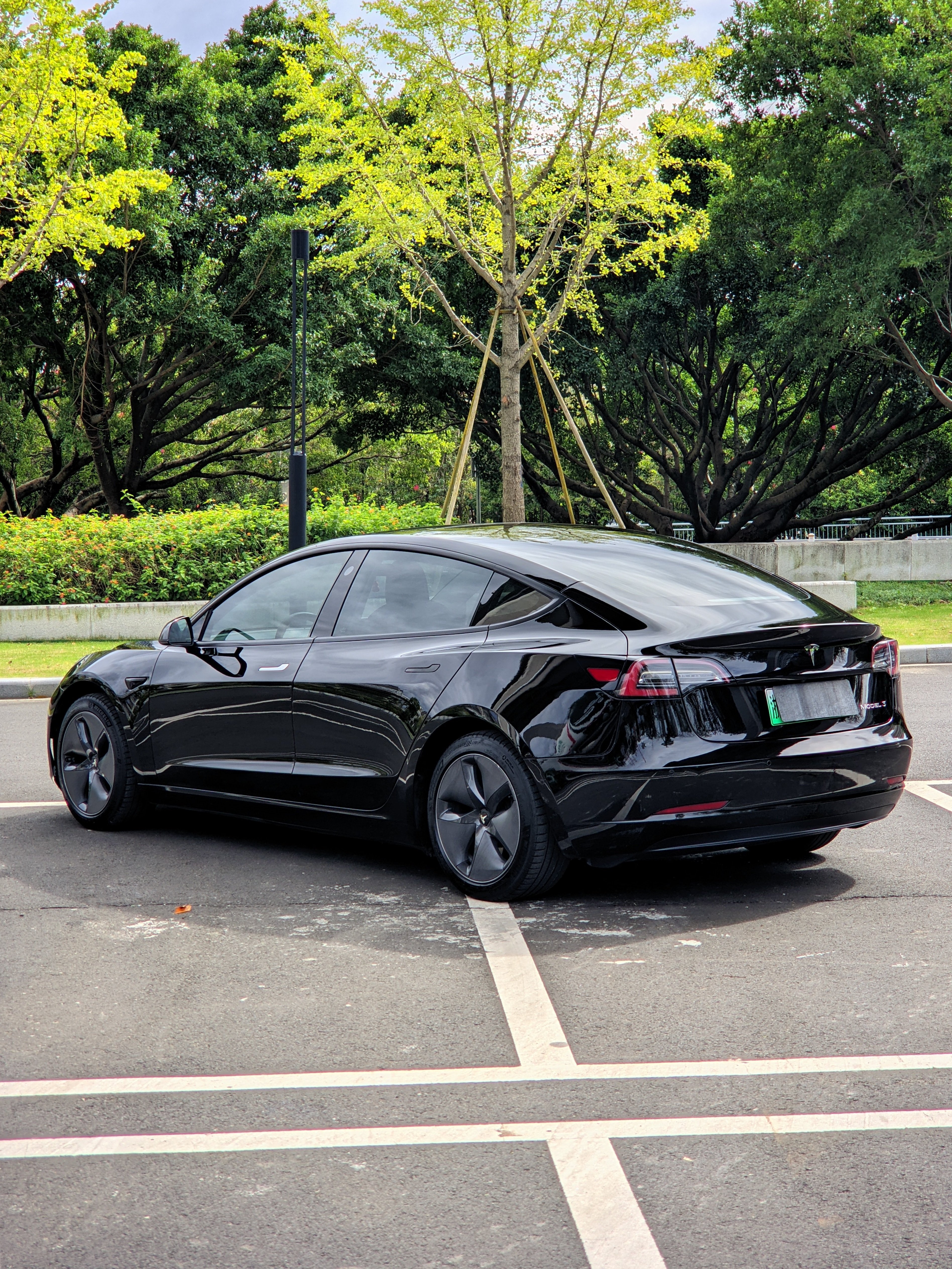 Tesla Model 3 2020 car image #11
