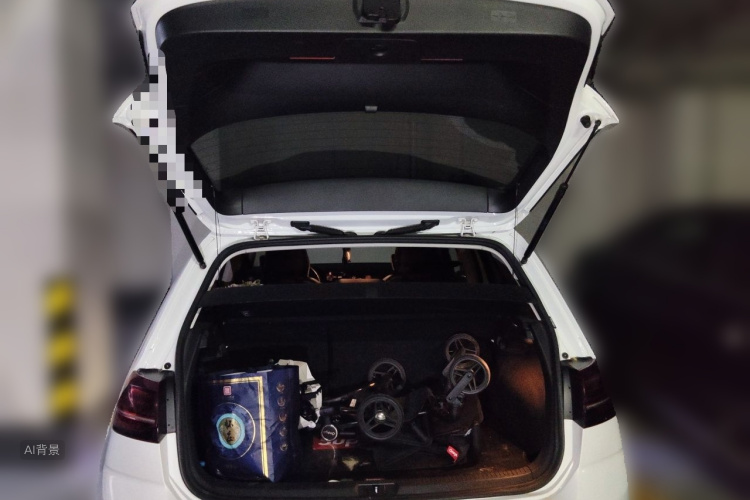 Volkswagen Golf 2018 car image #21