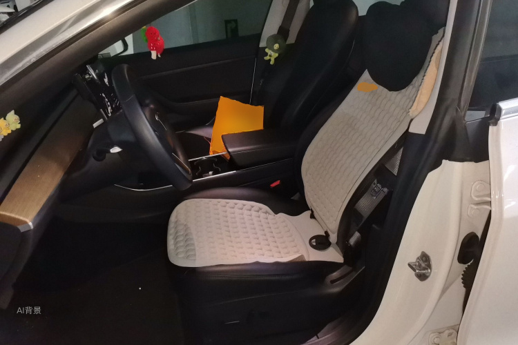 Tesla Model 3 2020 car image #17