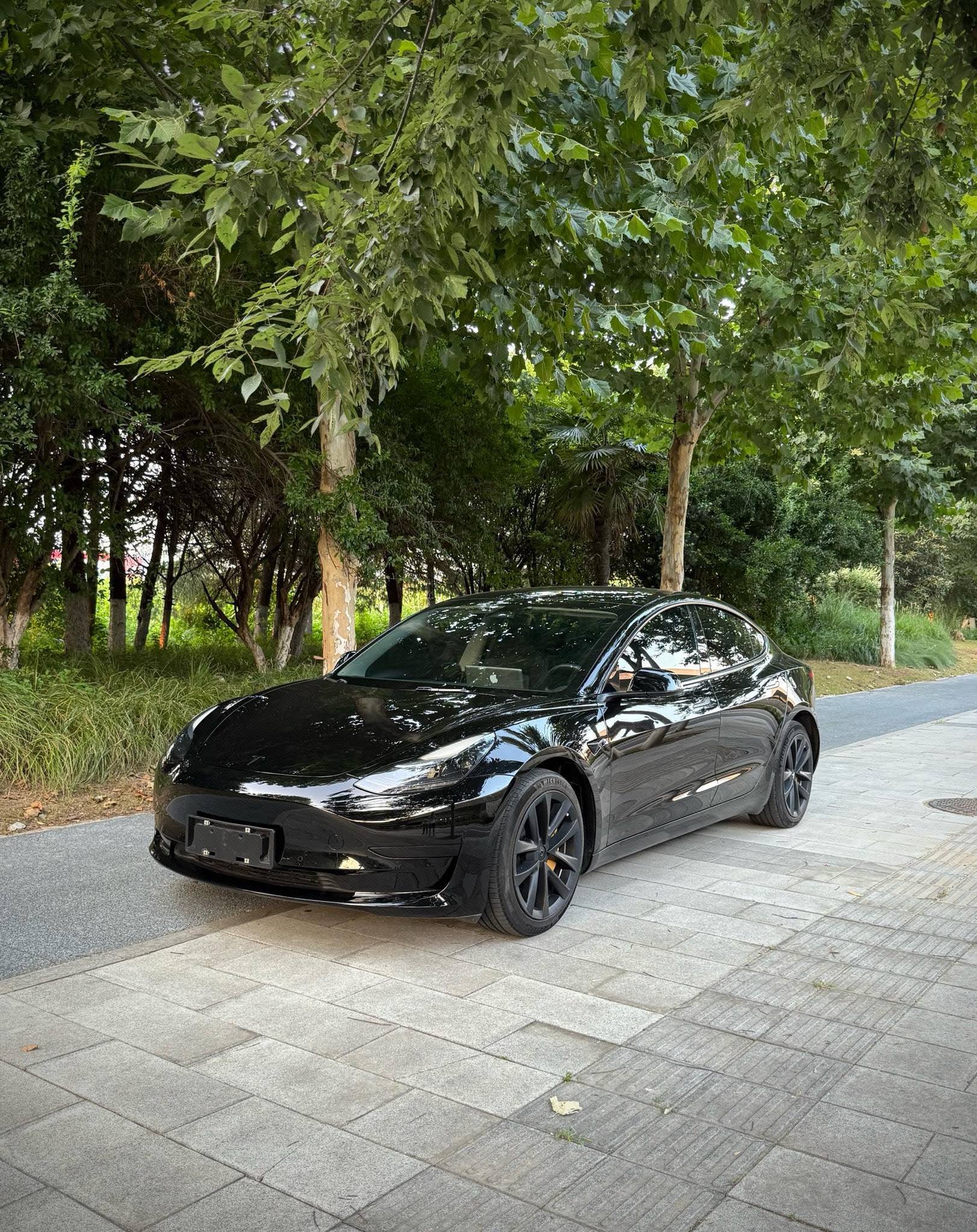 Tesla Model 3 2023 car image 