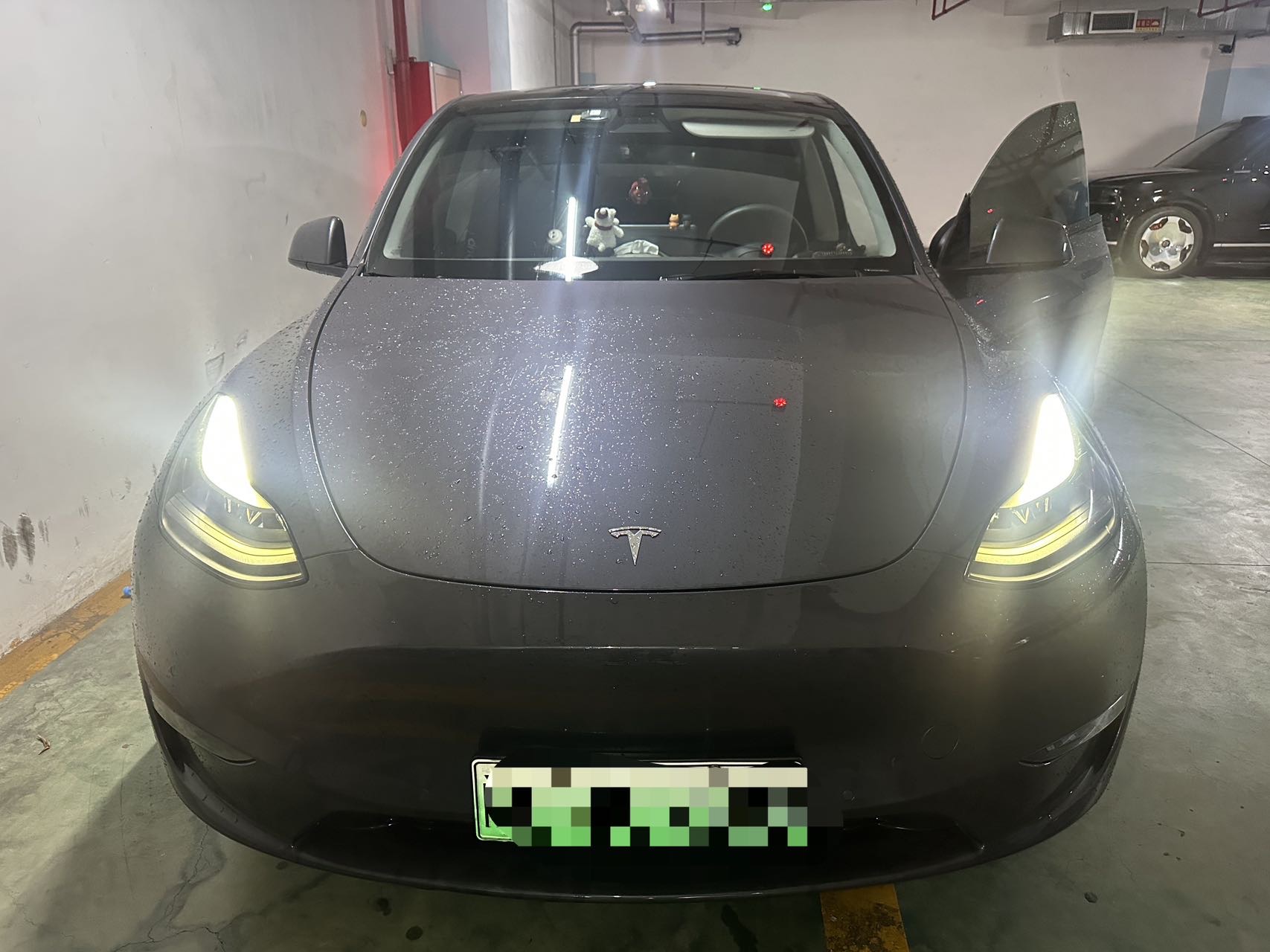 Tesla Model Y 2021 car image 