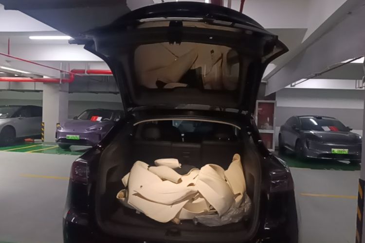 Tesla Model Y 2023 #21 Tesla Model Y 2023 car image #21
