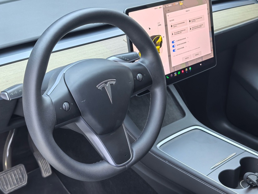 Tesla Model Y 2023 #10 Tesla Model Y 2023 car image #10