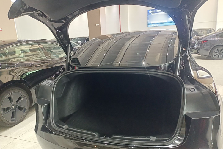Tesla Model 3 2026 immagine di auto #19