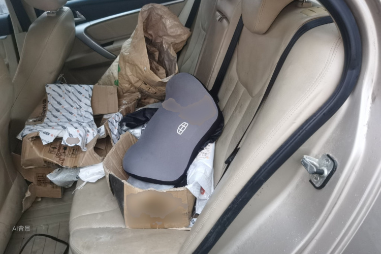 GEELY Emgrand 2018 car image #19