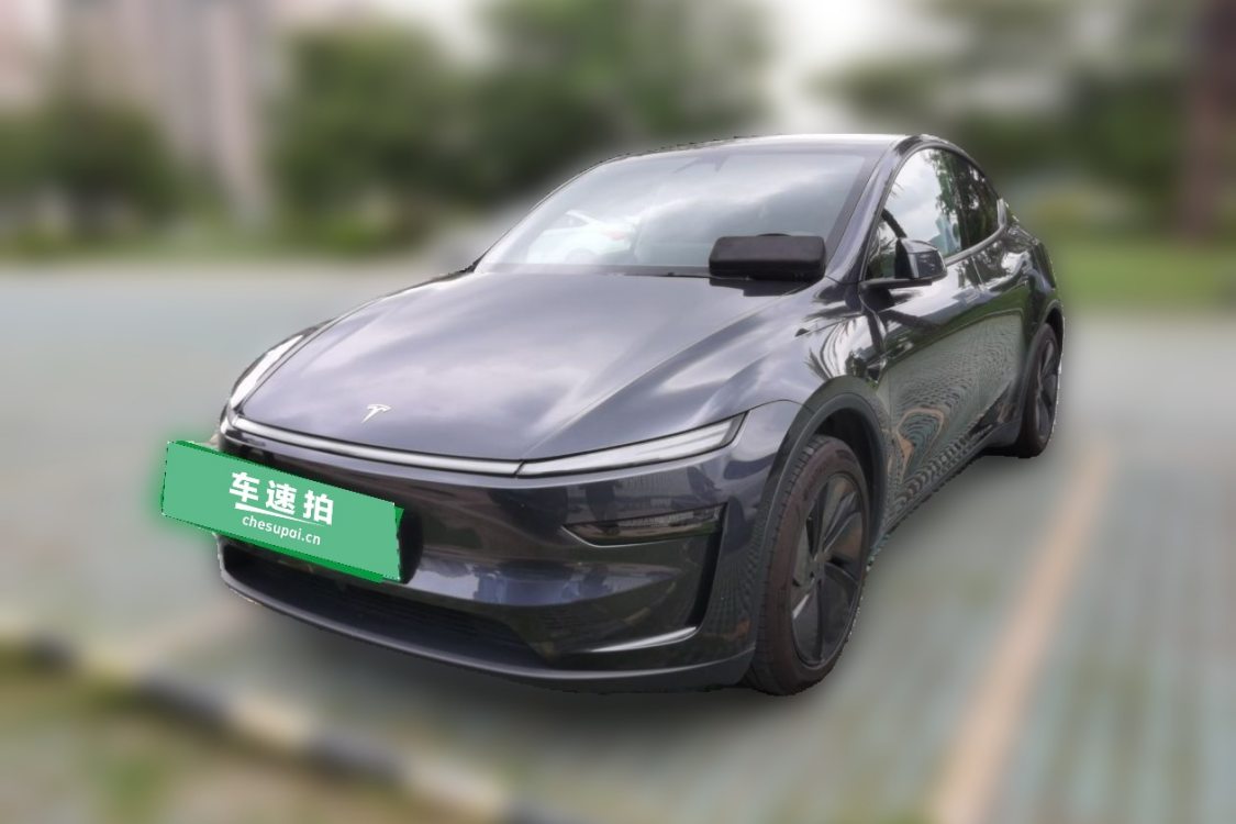 Tesla Model Y 2025 car image 