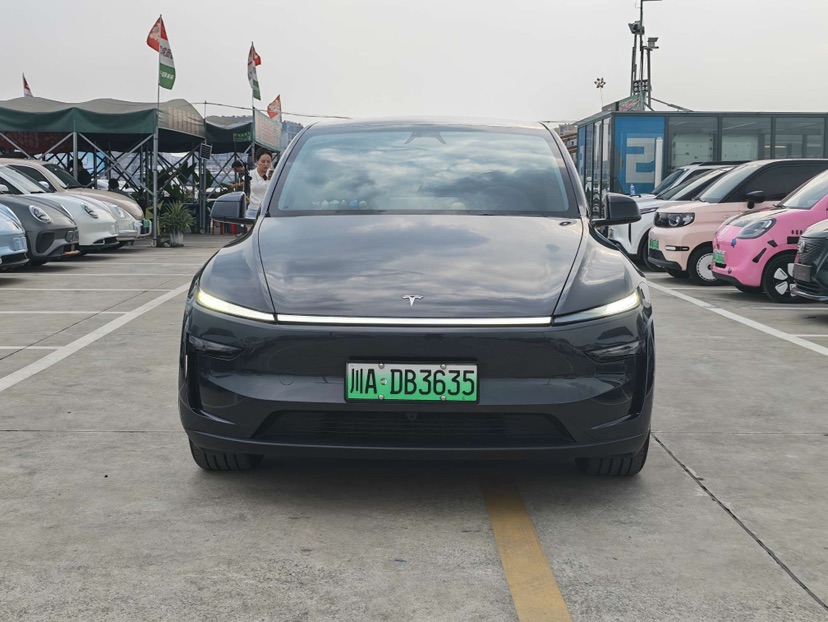 Tesla Model Y 2025 car image #2