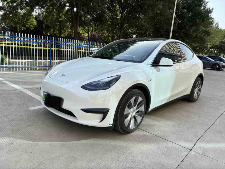 Tesla Model Y 2021 Tesla Model Y 2021 car image