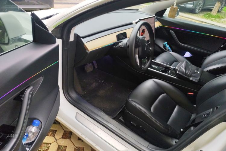 Tesla Model 3 2020 car image #18