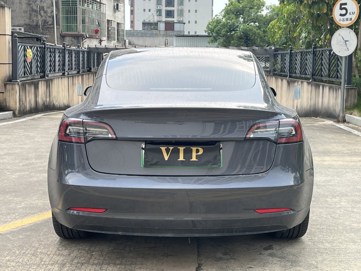 Tesla Model 3 2020 #8 Tesla Model 3 2020 car image #8
