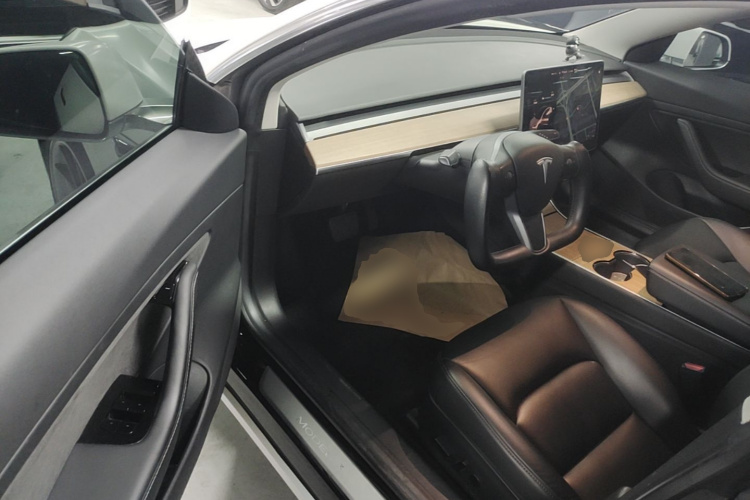 Tesla Model 3 2020 car image #16
