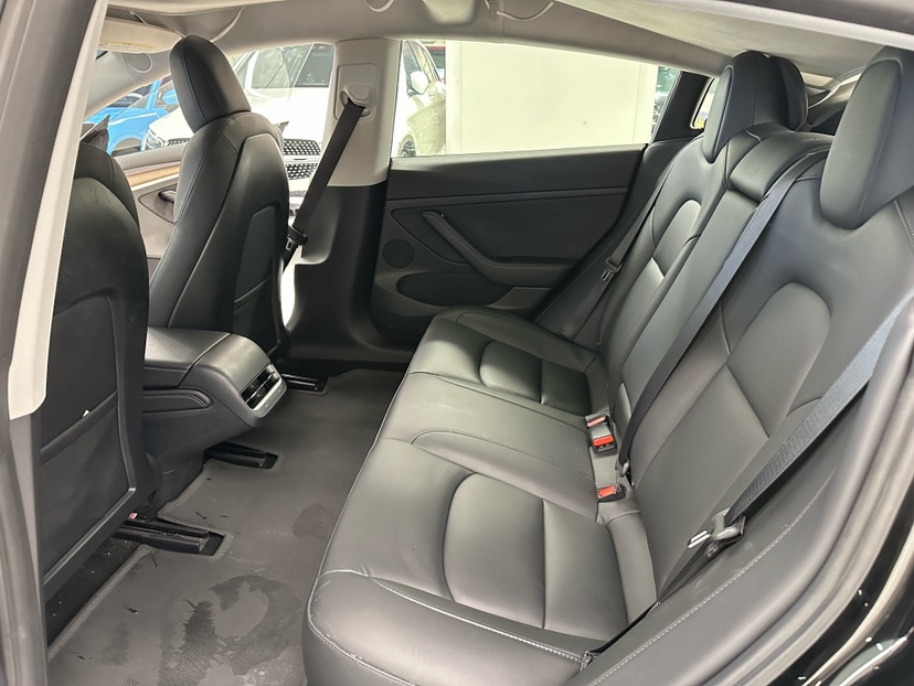 Tesla Model 3 2021 #6 Tesla Model 3 2021 car image #6