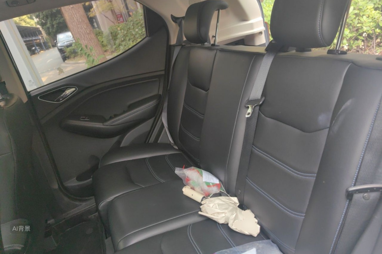 BYD Yuan New Energy 2019 car image #19