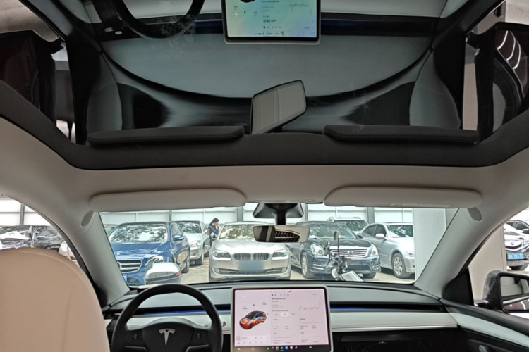 Tesla Model Y 2021 car image #20